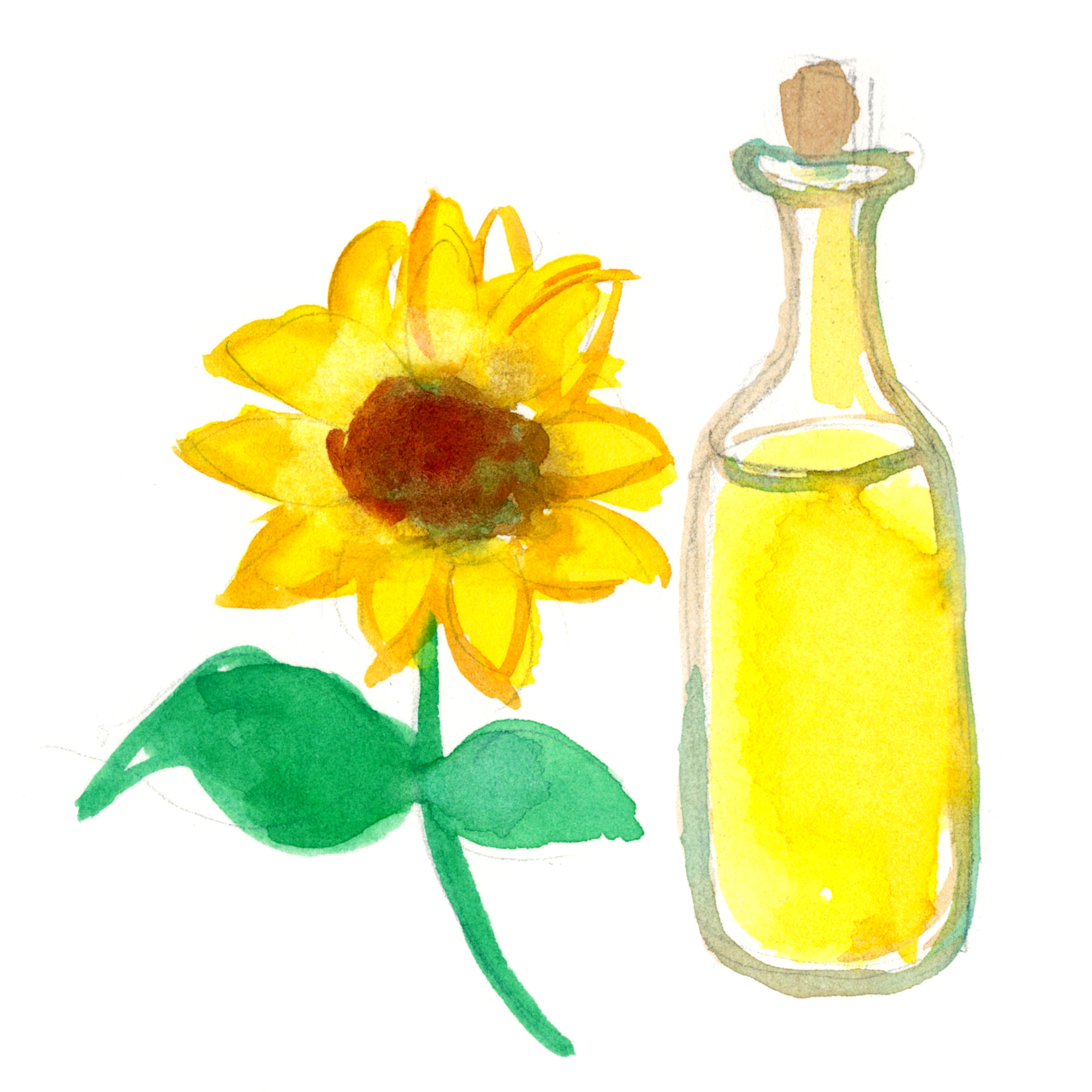 向日葵と花瓶